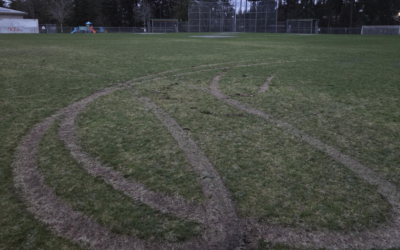 Field Vandalism