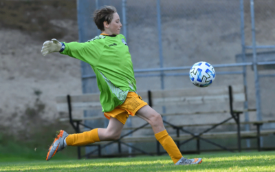 New Program – Goal Keeper Training – u12 and up